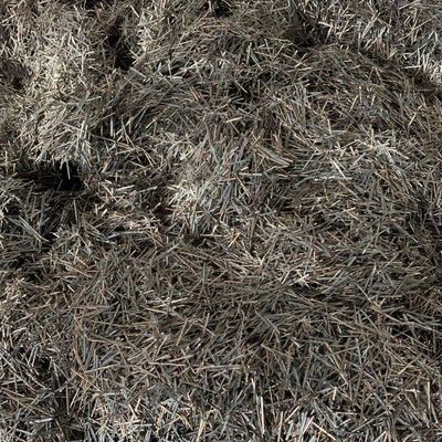 Cr24-Cr 26 Stainless Steel Fibers For Concrete SS Fiber High Grade